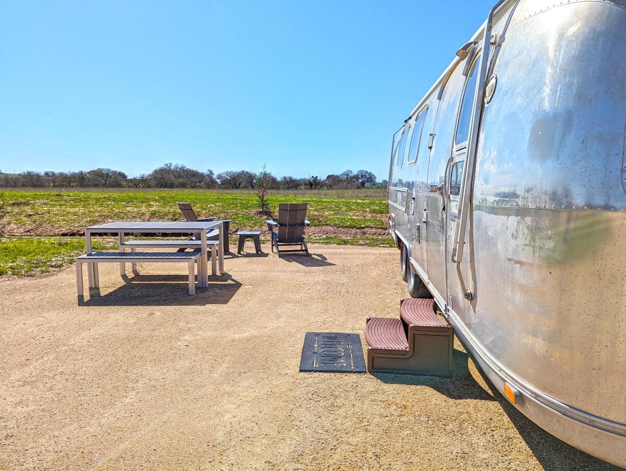 Campsite Vinyl